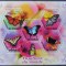R.DU TCHAD - FLUTURI, -2011, 1 M/SH, NEOBLIT.MNH** - EP 003