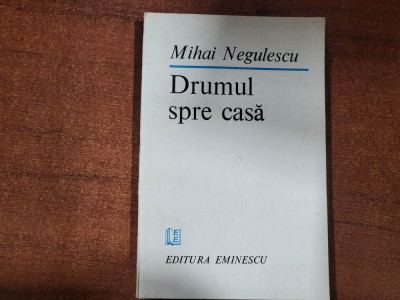 Drumul spre casa de Mihai Negulescu foto