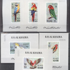 Ras al Khaima 1972 Birds Parrots 6 imperf. sheet with no. Mi.663-8 MNH DE.209