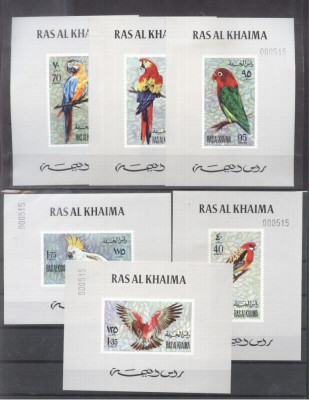 Ras al Khaima 1972 Birds Parrots 6 imperf. sheet with no. Mi.663-8 MNH DE.209 foto