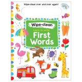 Wipe-Clean: Learn to Write First Words, Sandcastle