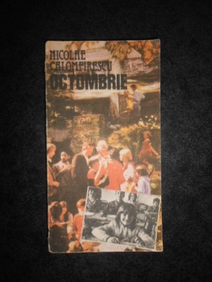 NICOLAE CALOMFIRESCU - OCTOMBRIE foto
