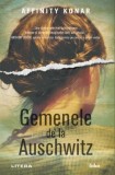 Gemenele de la Auschwitz - Affinity Konar - Editura Litera