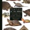 Turtles of the World: A Guide to Every Family