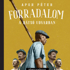 Forradalom a hátsó udvarban - Tömegerőszak, antiszemitizmus és politikai átalakulás a második világháború utáni Magyarországon, 1945-1946 - Dr. Apor P