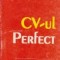 CV-ul perfect - Tot ceea ce iti trebuie pentru a reusi de prima data