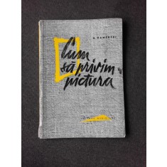 CUM SA PRIVIM PICTURA - A. KAMENSKI