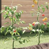 Cumpara ieftin Suporturi spiralate pentru plante 20 pcs Argintiu 150 cm