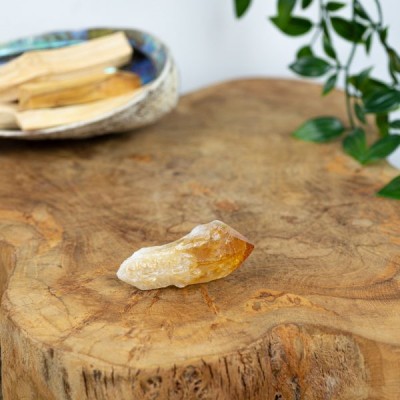 Citrin brut 2 - 4 cm - Succes foto