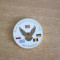 S C1 - Tematica militara - Forte multinationale - Misiune in Kosovo