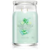 Yankee Candle Cucumber Mint Cooler lum&acirc;nare parfumată Signature 567 g