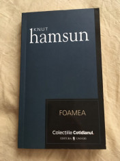 Knut Hamsun - Foamea foto