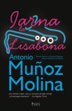 Cumpara ieftin Iarna la Lisabona