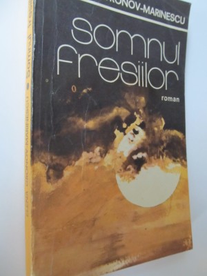 Somnul fresiilor - Elena Gronov Marinescu foto