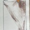 Tehnică mixtă pe carton subțire, Casa de Modă M.I.U., 30 x 21 cm, modă rom&acirc;nească, schiță vestimentară