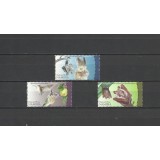 NAMIBIA 2012 FAUNA LILIECI