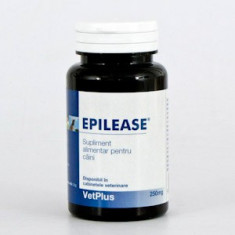 Epilease 1000 mg, 60 capsule foto