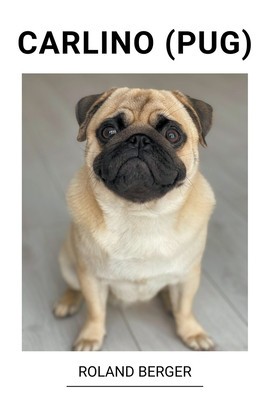 Carlino (Pug)