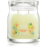Yankee Candle Lemon Gelato lum&acirc;nare parfumată 368 g