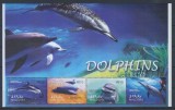 MALDIVES 2004 FAUNA MAMIFERE MARINE DELFINI
