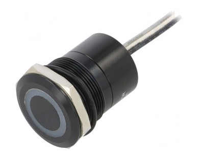Comutator Capacitiv ON-OFF IP68 12V foto
