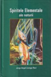 Jorge Angel Livraga Rizzi - Spiritele elementale ale naturii