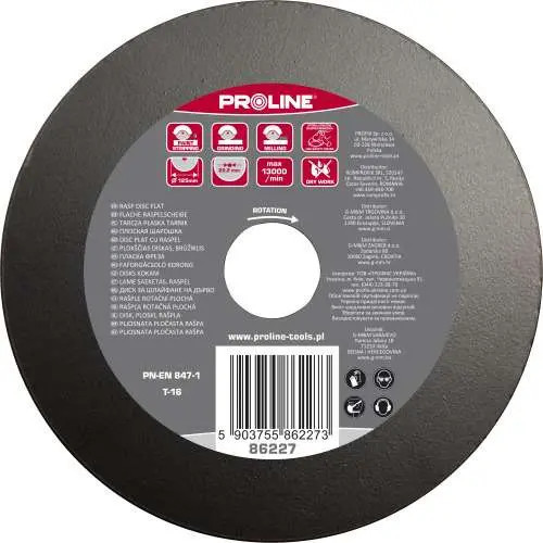 Disc Proline Raspel Plat Fin Diametru 125 mm