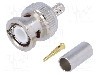 Conector BNC, 50&amp;Omega;, tata, aurit, {{Producator}} - foto