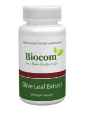 Olive Leaf Extract 20% 750 mg &amp;amp;#8211; 60 caps foto