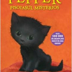 Pepper, pisoiasul misterios - Holly Webb