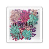 Cumpara ieftin Flori Uscate Unghii LUXORISE - Flowers Spice