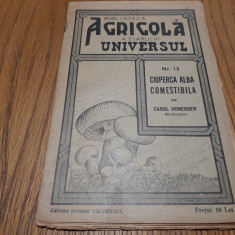 CIUPERCA ALBA COMESTIBILA - Carol Honegger - Biblioteca Agricola nr.13,1937, 33p