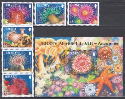 Jersey 2010 - Viața marină - Anemone, Serie + Colita, MNH foto