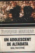 Un adolescent de altadata - Maltaverne foto