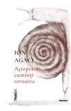Asteptam cuminti teroarea - Ion Agaci