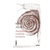Asteptam cuminti teroarea - Ion Agaci
