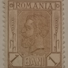 România Lp 54 Spic de grâu fără filigran 1 Ban nestampilat