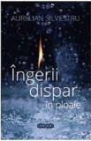 Ingerii dispar in ploaie | Aurelian Silvestru, 2021