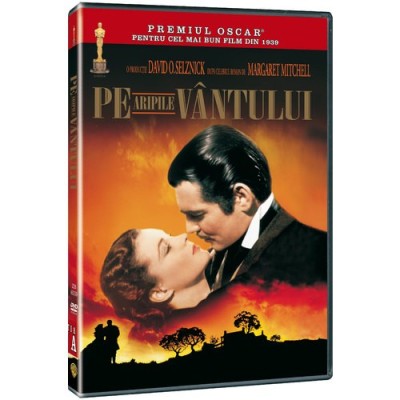 DVD - Pe aripile vantului foto