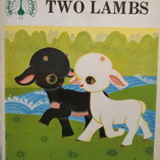 Li Shufen - Two lambs