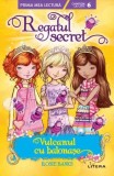 Regatul secret. Vulcanul cu balonașe (Nivelul 6) - Paperback brosat - Rosie Banks - Litera