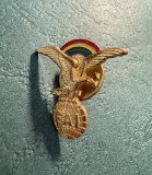Miniatura insigna FAI aviatie civila varianta