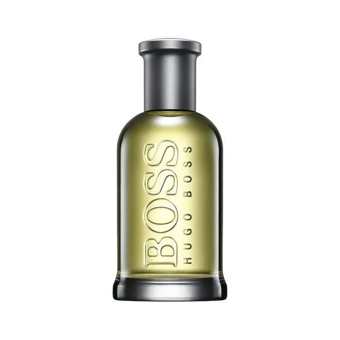 Apa de toaleta pentru barbati, Hugo Boss Bottled, 100 ml