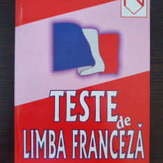 TESTE DE LIMBA FRANCEZA - Skultety