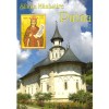 - Sfanta Manastire Putna - 137048