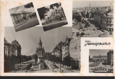 CPI B 12131 TIMISOARA. MOZAIC, RPR foto