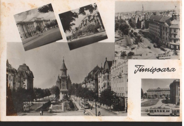 CPI B 12131 TIMISOARA. MOZAIC, RPR