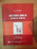 ANATOMIA OMULUI , APARATUL GENITAL de G. LUPU , Bucuresti 2007