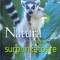 Natura Mereu Surprinzatoare - Coelctiv , J29