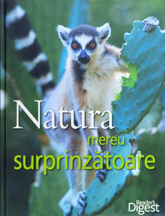 Natura Mereu Surprinzatoare - Coelctiv , J29